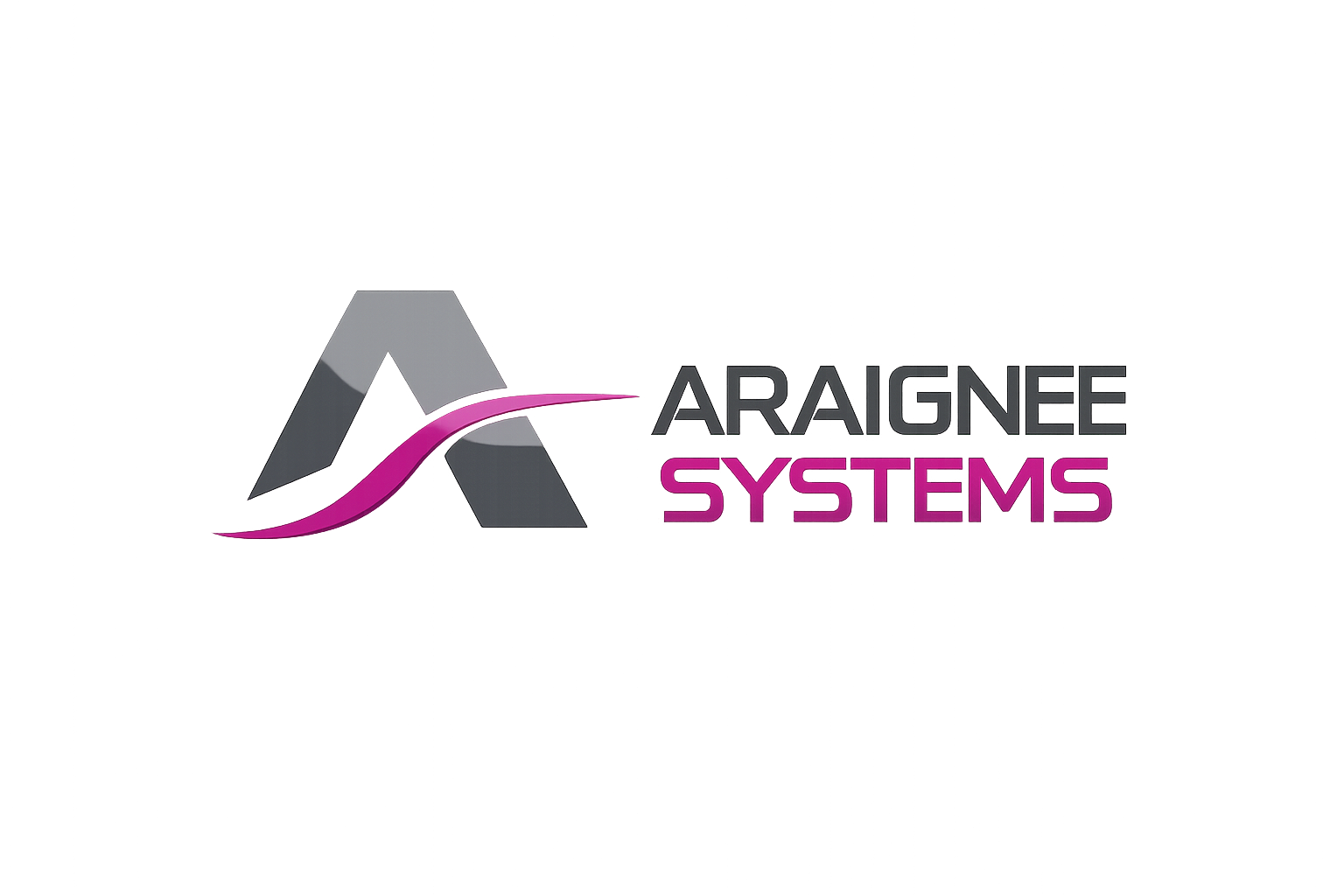 Araignee Systems